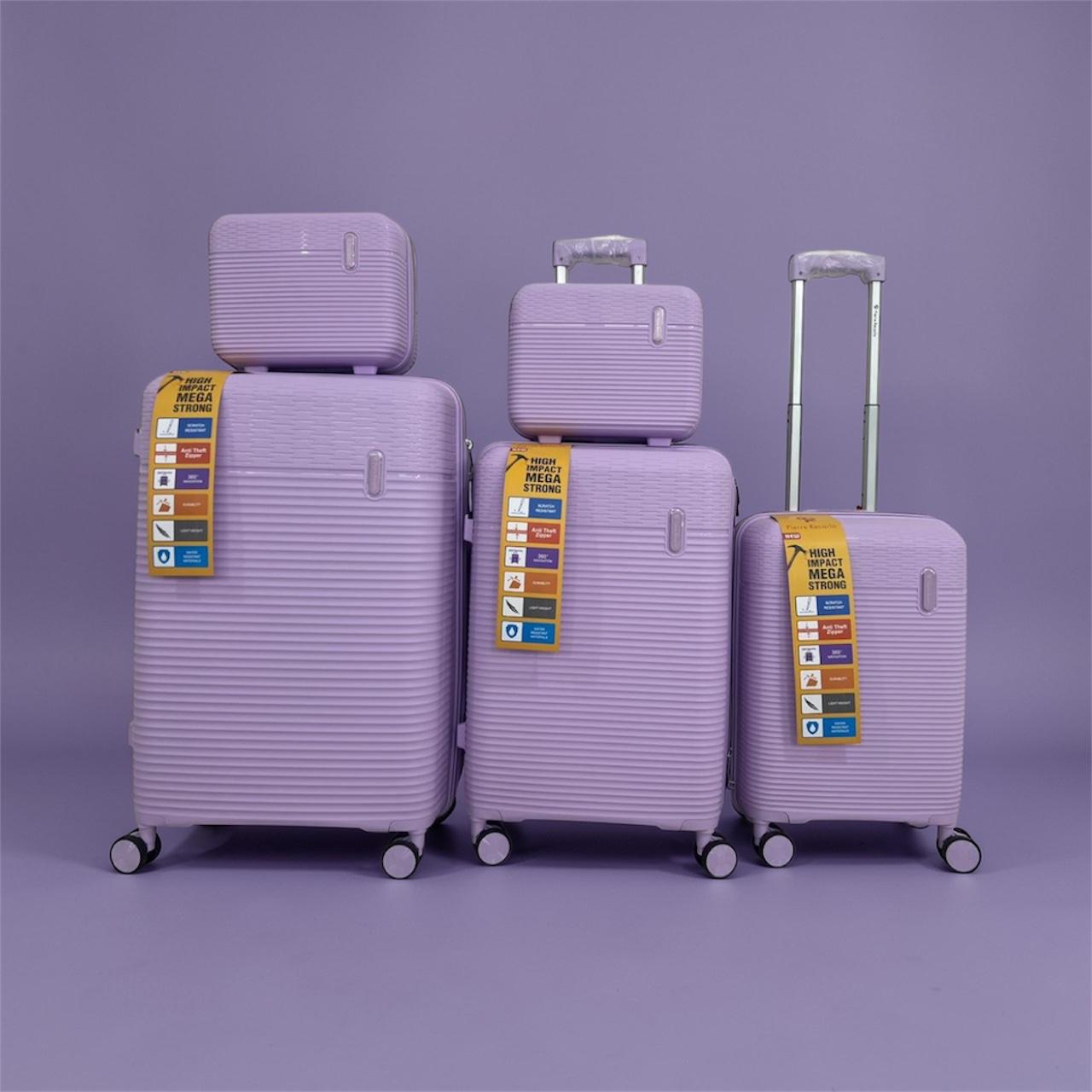 Lavender Hard Shell Luggage Set